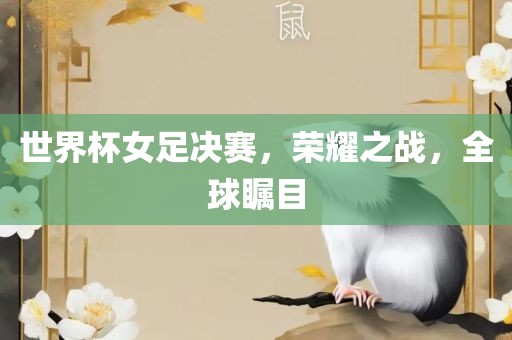 世界杯女足决赛，荣耀之战，全球瞩目