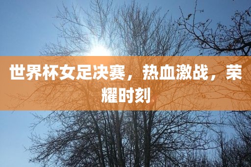 世界杯女足决赛，热血激战，荣耀时刻