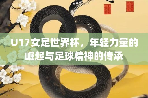 U17女足世界杯，年轻力量的崛起与足球精神的传承