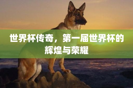 世界杯传奇，第一届世界杯的辉煌与荣耀眉山市正发家政服务有限公司