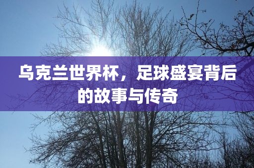 乌克兰世界杯，足球盛宴背后的故事与传奇