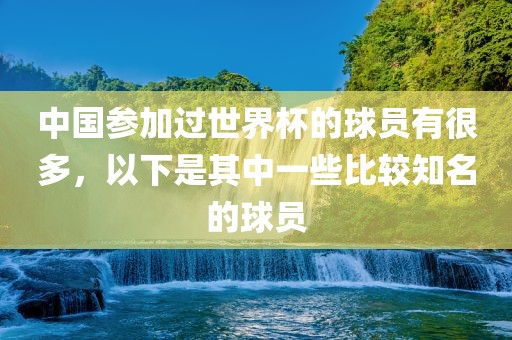 中国参加过世界杯的球员有很多，以下是其中一些比较知名的球员