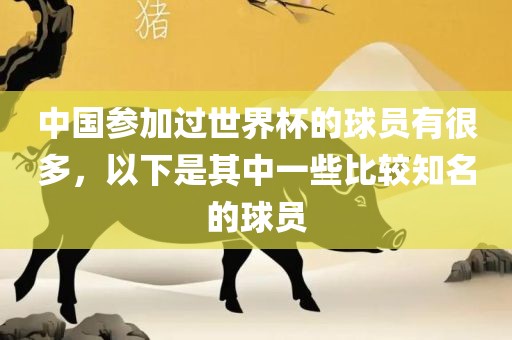 中国参加过世界杯的球员有很多，以下是其中一些比较知名的球员