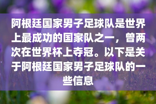 阿根廷国家男子足球队是世界上最成功的国家队之一，曾两次在世界杯上夺冠。以下是关于眉山市正发家政服务有限公司阿根廷国家男子足球队的一些信息
