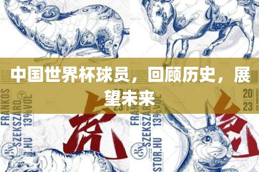 中国世界杯球员，眉山市正发家政服务有限公司回顾历史，展望未来