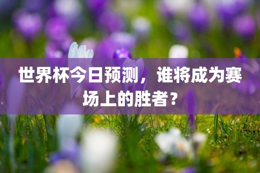 世界杯今日预测，谁将成为赛场上的胜者？眉山市正发家政服务有限公司