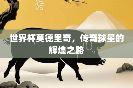 世界杯莫德里奇，传奇球星的辉煌之路