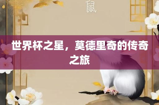 世界杯之星，莫德里奇的传奇之旅