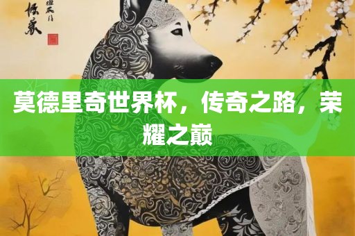 莫德里奇世界杯，传奇之路，荣耀之巅