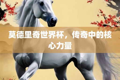 莫德里奇世界杯，传奇中的核心力量眉山市正发家政服务有限公司