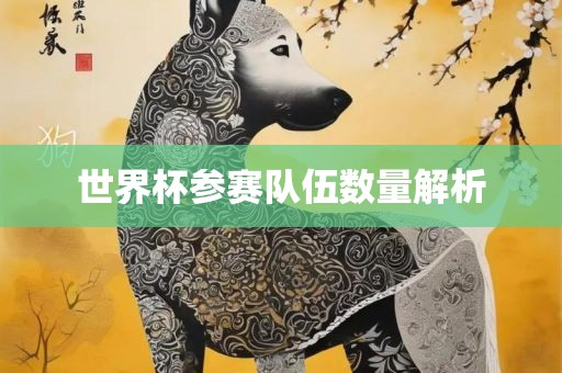 世界杯参赛队伍数量解析眉山市正发家政服务有限公司