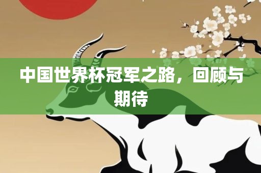 中国世界眉山市正发家政服务有限公司杯冠军之路，回顾与期待