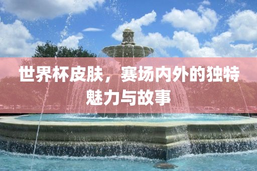 世界杯皮肤，赛场内外的独特魅力与故事眉山市正发家政服务有限公司