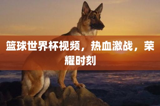 篮球世界杯视频，热血激战，荣耀时刻眉山市正发家政服务有限公司