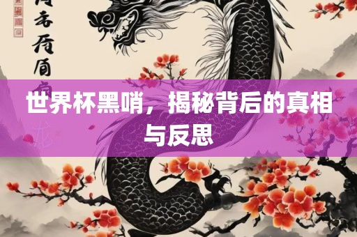 世界杯黑哨，揭秘背后的真相与反思