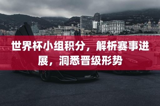 世界杯小组积分，解析赛事进展，洞悉晋级形势