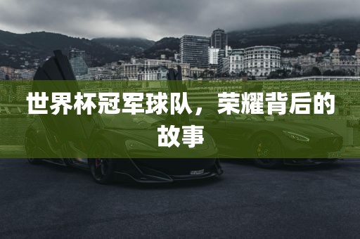 世界杯冠军球队，荣耀背后的故事眉山市正发家政服务有限公司
