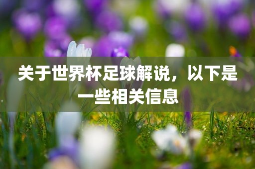 关于世界杯足球解说，以下是一些相关信息