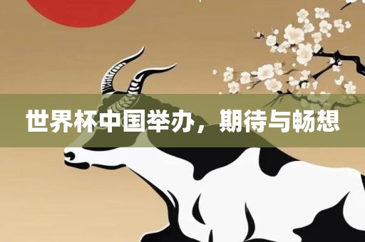 世界杯中国举办，期待与畅想眉山市正发家政服务有限公司
