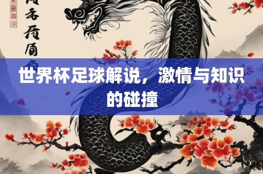 世界杯足球解说，激情与知识的碰撞