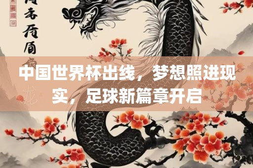 中国世界杯出线，梦想照进现实，足球新篇章开启眉山市正发家政服务有限公司