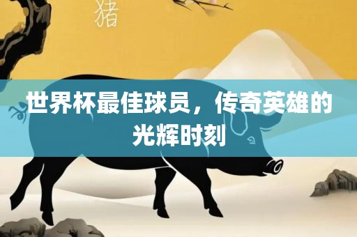 世界杯最佳球员，传奇英雄的光辉时刻眉山市正发家政服务有限公司