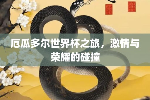 厄瓜多尔世界杯之旅，激情与荣耀的碰撞