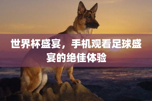 世界杯盛宴，手机观看足球盛宴的绝佳体验眉山市正发家政服务有限公司