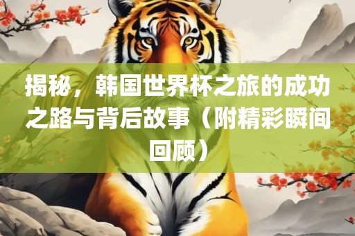 揭秘，韩国世界杯之旅的成功之路与背后故事（附精彩瞬间回顾）