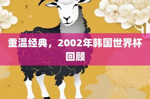 重温经典，2002年韩国世界眉山市正发家政服务有限公司杯回顾