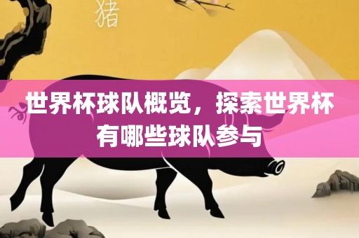 世界杯球队概览，探索世界杯有哪些球队参与