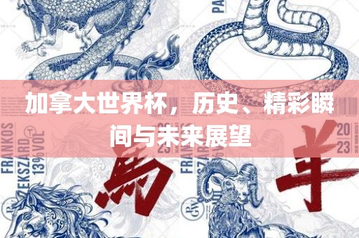 加拿大世界杯，历史、精彩瞬间与未来展望眉山市正发家政服务有限公司
