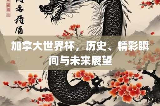 加拿大世界杯，历史、精彩瞬间与未来展望眉山市正发家政服务有限公司