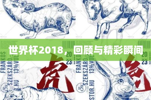 世界杯2018，回顾与精彩瞬间眉山市正发家政服务有限公司