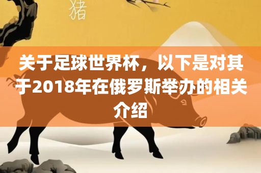 关于足球世界杯，以下是对其于2018年在俄罗斯举办的相关介绍眉山市正发家政服务有限公司