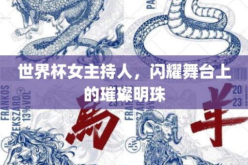 世界杯女主持人，闪耀舞台上的璀璨明珠