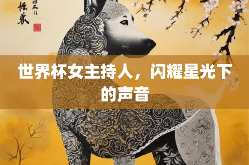 世界杯女主持人，闪耀星光下的声音