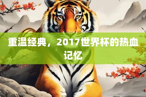 重温经典，2017世界杯的热血记忆眉山市正发家政服务有限公司