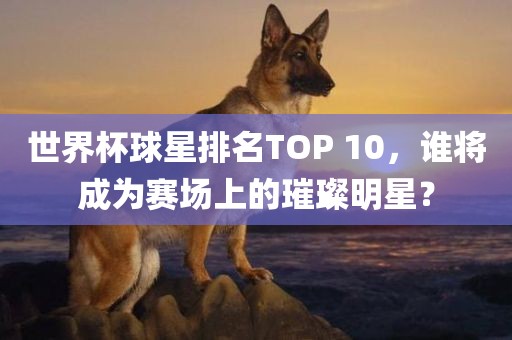世界杯球星排名TOP 10，谁将成为赛场上的璀璨明星？眉山市正发家政服务有限公司