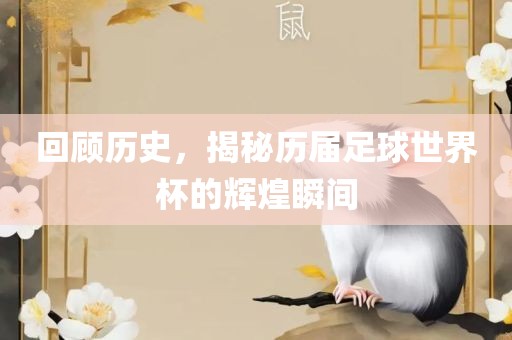 回顾历史，揭秘历届足球世界杯的辉煌瞬间眉山市正发家政服务有限公司
