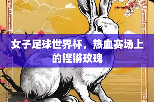 女子足球世界杯，热血赛场上的铿锵玫瑰