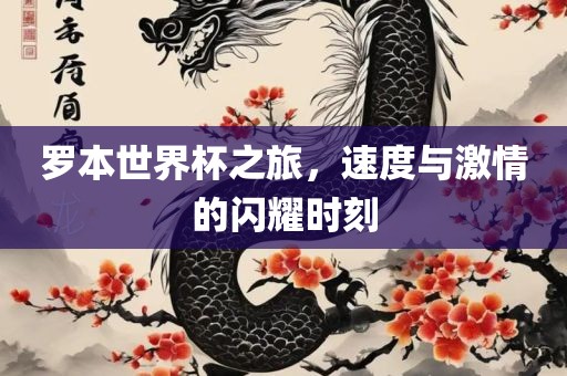 罗本世界杯之旅，速度与激情的闪耀时刻