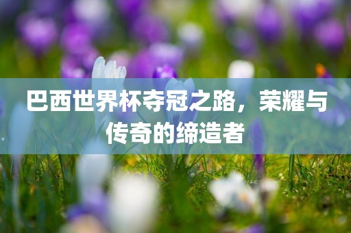 巴西世界杯夺冠之路，荣耀与传奇的缔造者