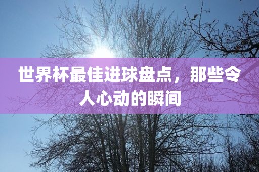 世界杯最佳进球盘点，那些令人心动的瞬间