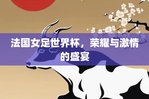 法国女足世界杯，荣耀与激情的盛宴眉山市正发家政服务有限公司