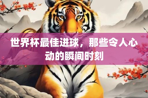 世界杯最佳进球，那些令人心动的瞬间时刻