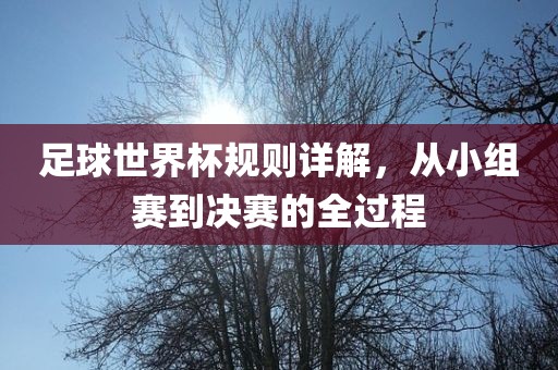 足球世界杯规则详解，从小组赛到决赛的全过程