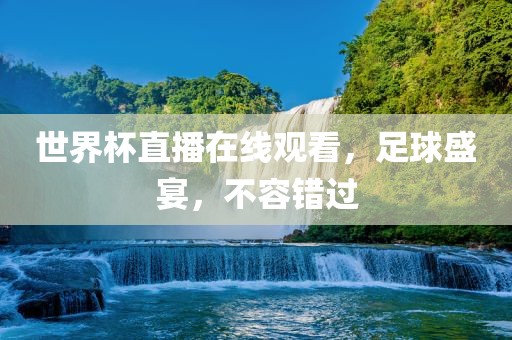 世界杯直播在线观看，足球盛宴，不容错过眉山市正发家政服务有限公司