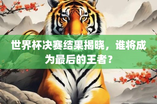 世界杯决赛结果揭晓，谁将成为最后的王者？眉山市正发家政服务有限公司