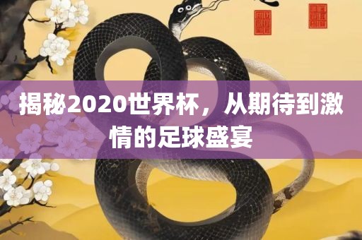 揭秘2020世界杯，从期待到激情的足球盛宴眉山市正发家政服务有限公司